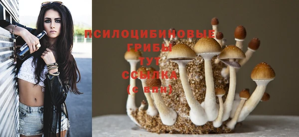 бошки Слюдянка