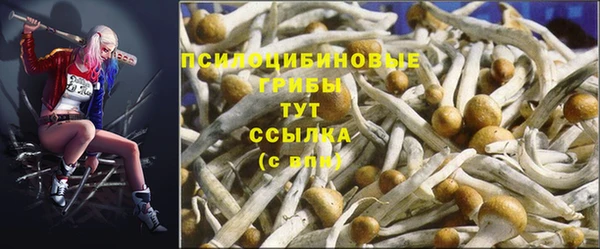 ALPHA PVP Зерноград