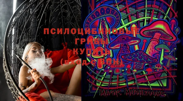 бошки Слюдянка
