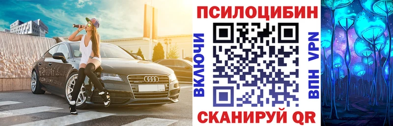 купить наркотик  МЕГА ТОР  Галлюциногенные грибы Psilocybe  Урень 
